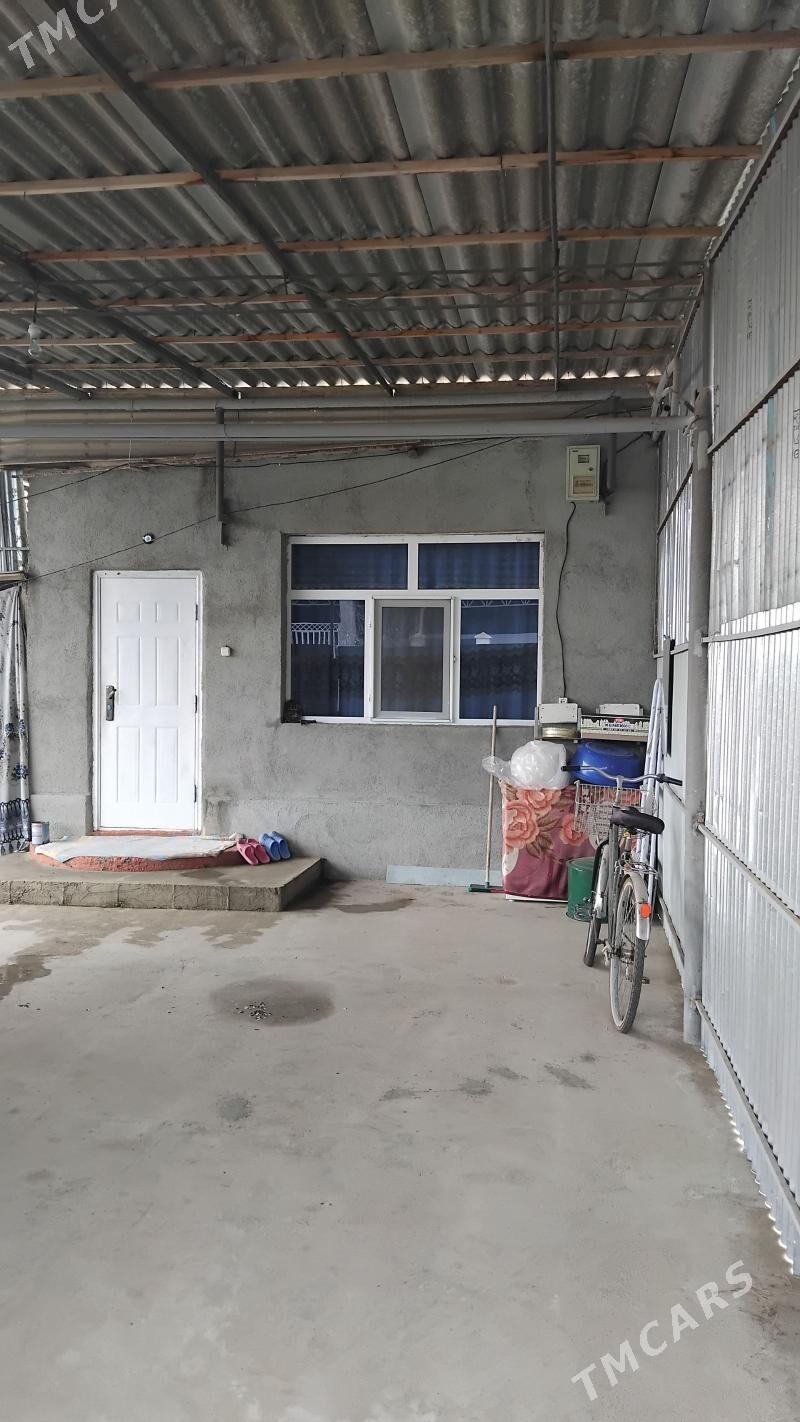 koteź jay - Яшлык - img 1