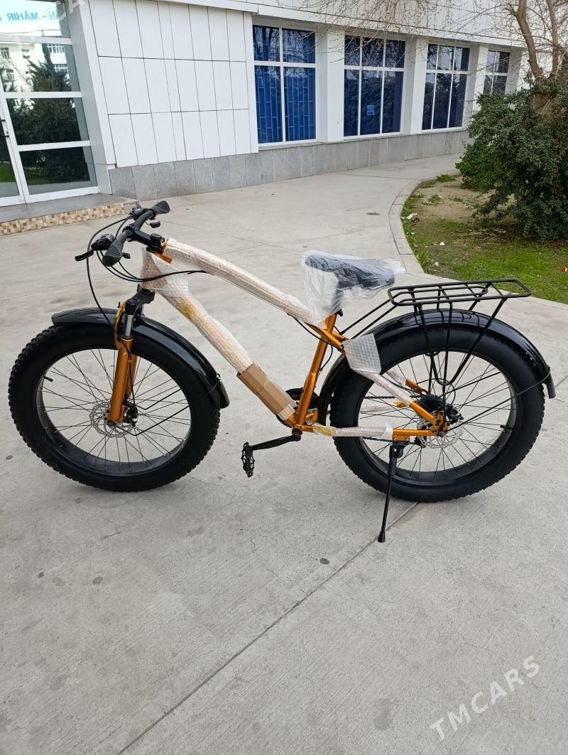 Tigir - Gagarin köç, köne Howa menzili - img 1