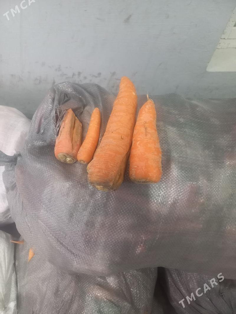 Käşir arasaja - Гёкдепе - img 1