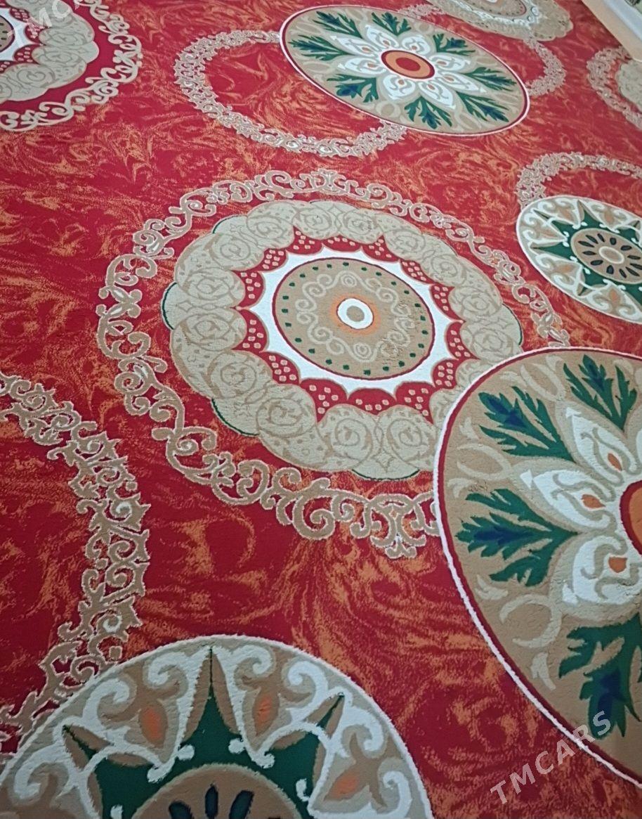 Haly - Köşi - img 1