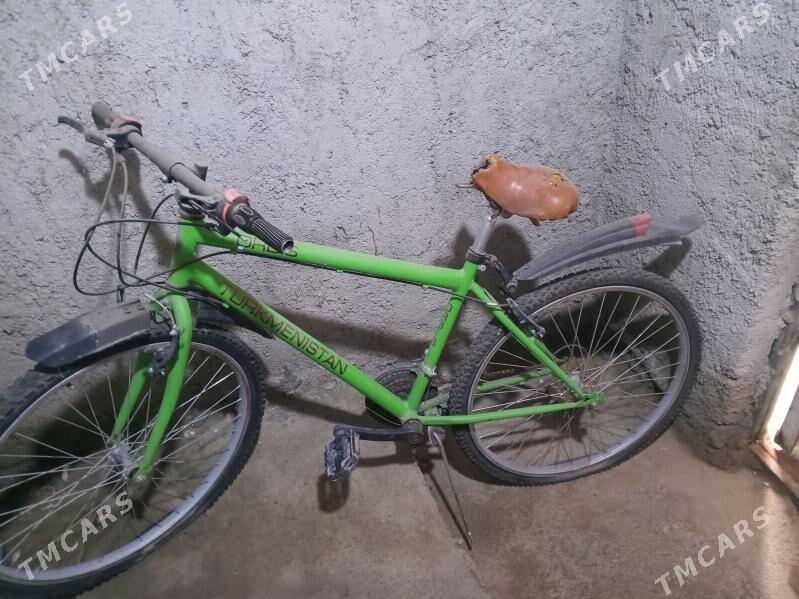 tigir - Гёкдже - img 1