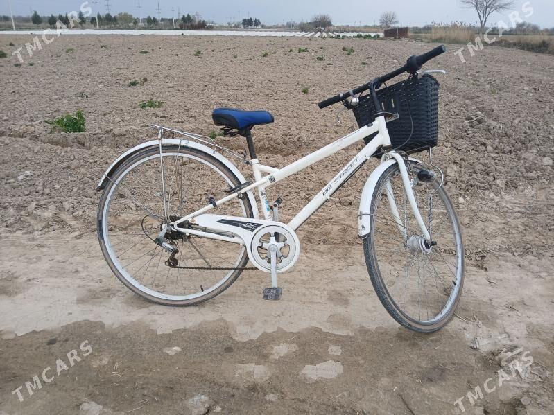 Tigir - Büzmeýin - img 1