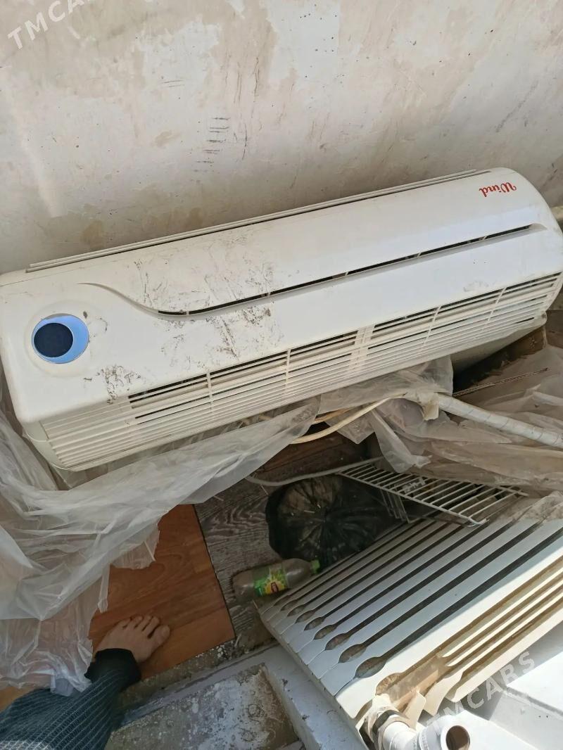 Willd - Aşgabat - img 1