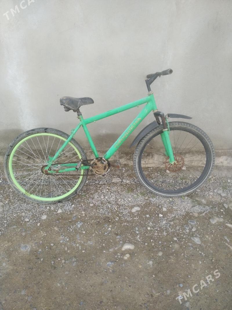 tigir - Ak bugdaý etraby - img 1