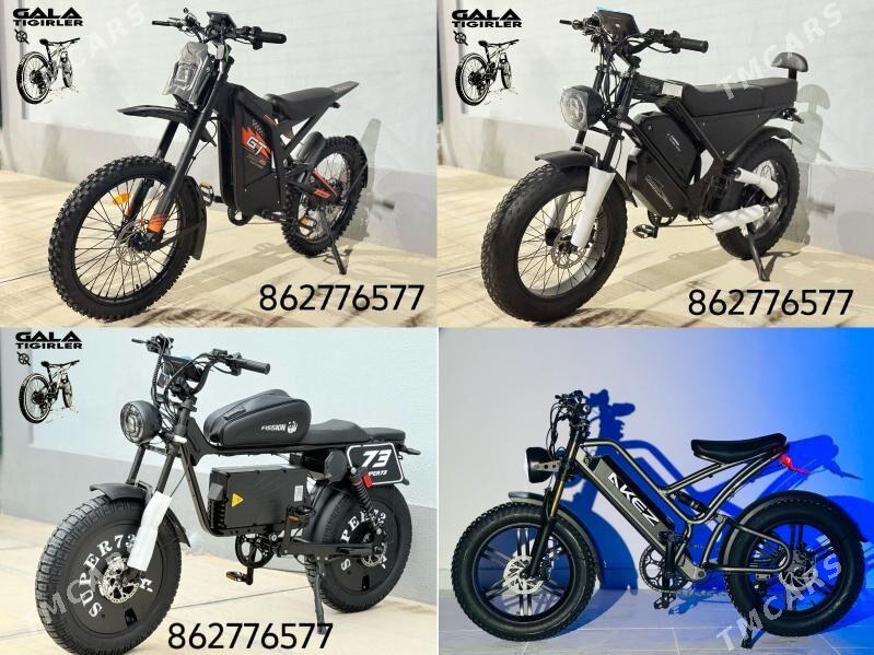 TIGIR SAMAKAT MATOR GONCYK TOK - Гуртли - img 1