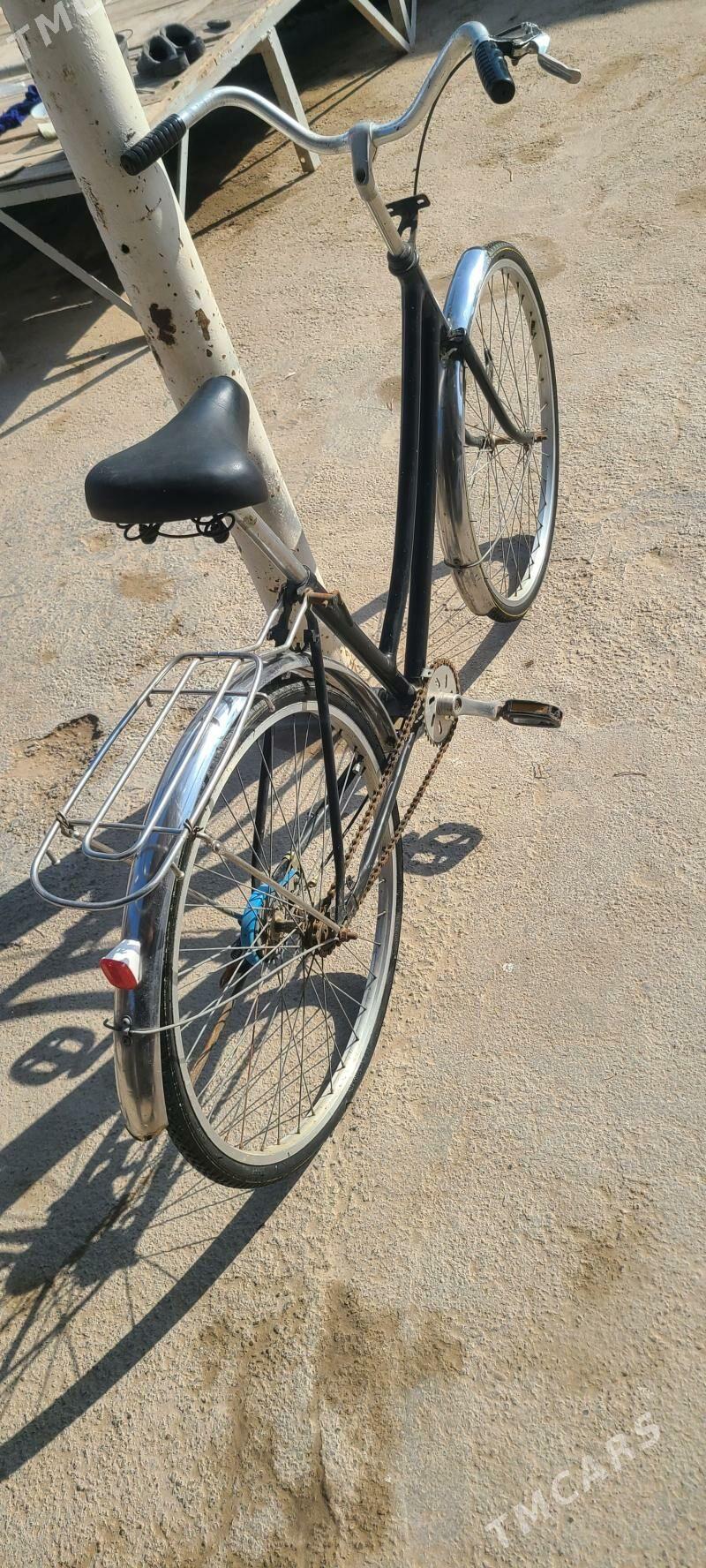 tigir.welosepet.kama.welik. - Mary - img 1