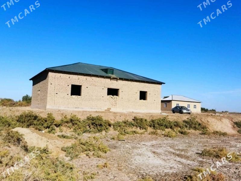 Satlyk jay - Boldumsaz - img 1