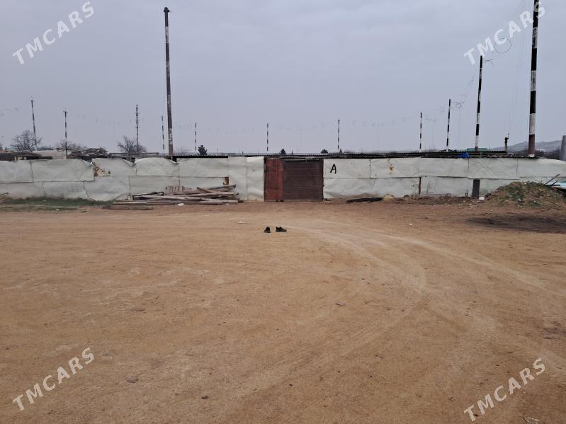 satlyk mal - Türkmenbaşy - img 1