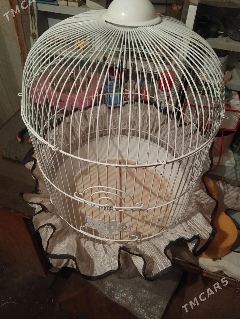 3 клетки - Туркменабат - img 1