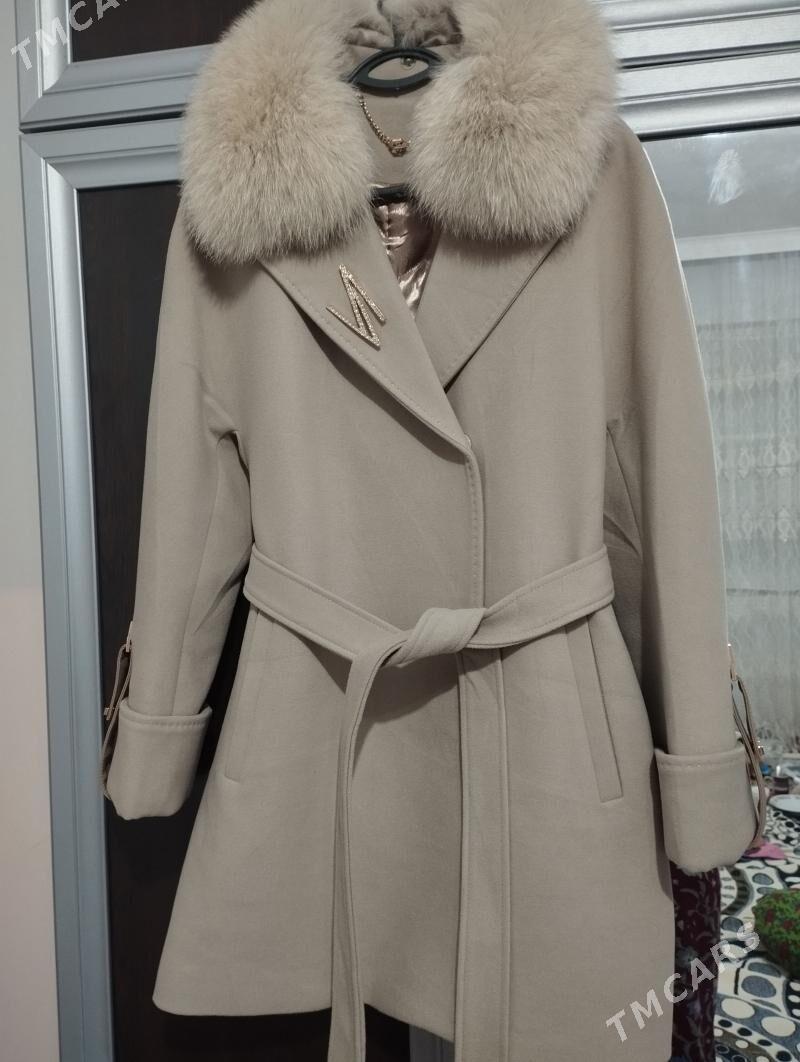 Palto - Büzmeýin - img 1