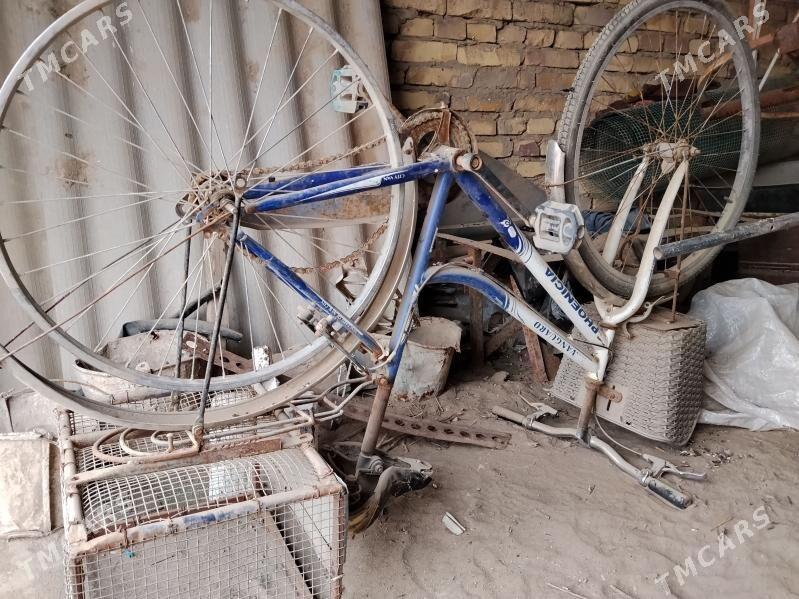 велсепед - Саят - img 1