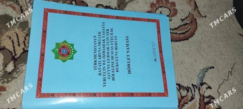 mellek yer - Mary - img 1