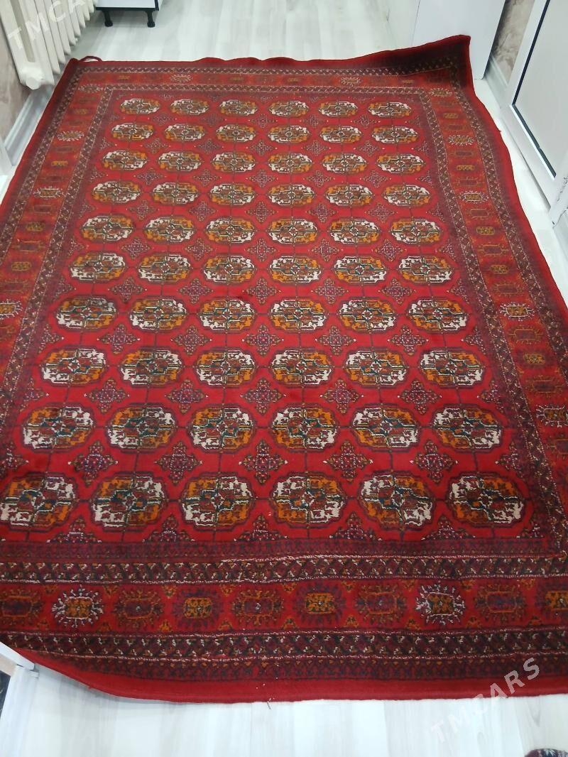 халы бюзмеин - Türkmenabat - img 1