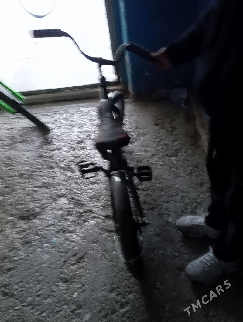 tigir - Мир 2 - img 1