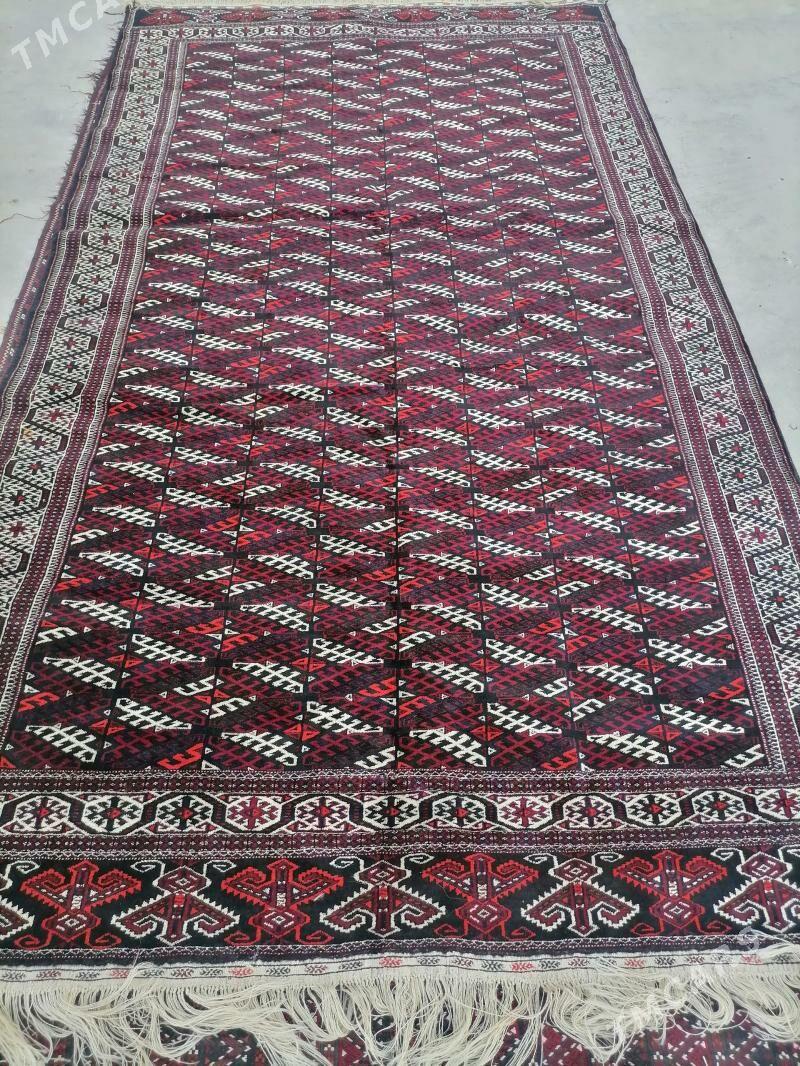 Халы - Балканабат - img 1