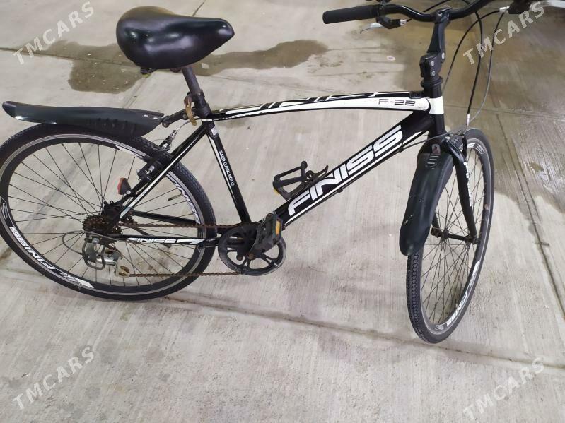 tigir - Gypjak - img 1