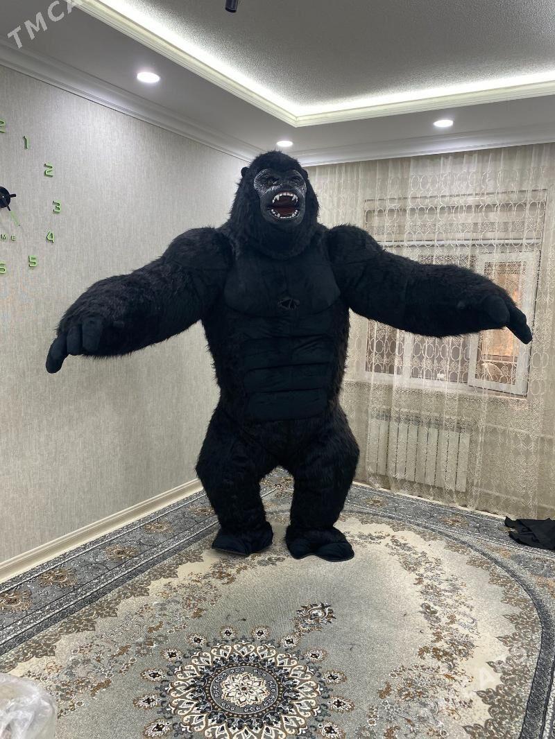 miska - Ашхабад - img 1