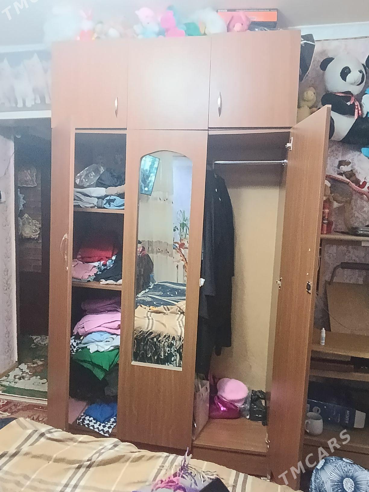 шефонер - Aşgabat - img 1