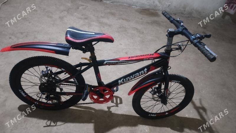 20 kuwant tigir - Гурбансолтан Едже - img 1