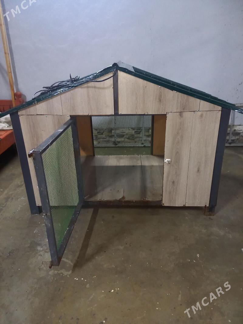 Ketek - Türkmenabat - img 1