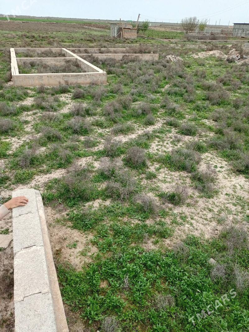 mellek yer - Kaka - img 1