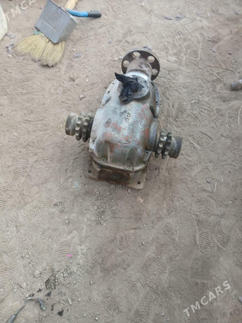 redukdyr - Ýaşlyk - img 1