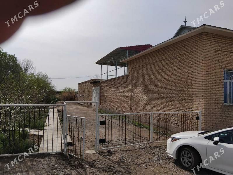 15 nji Afta park Daca - Türkmenabat - img 1