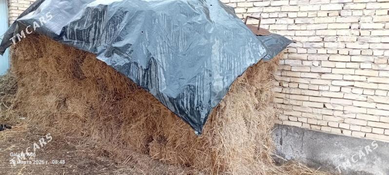 Haşal ot - Фарап - img 1