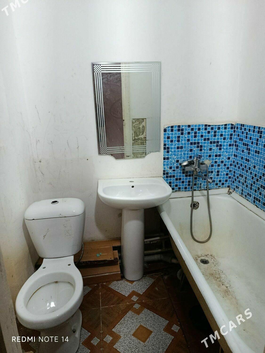 Satlyk jay - Мары - img 1