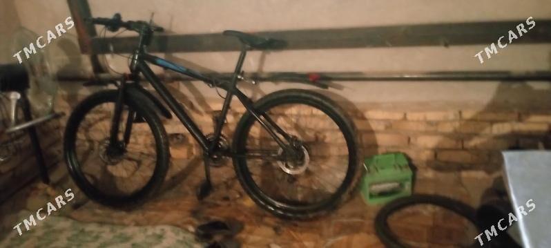 Youme welsepet - Дашогуз - img 1