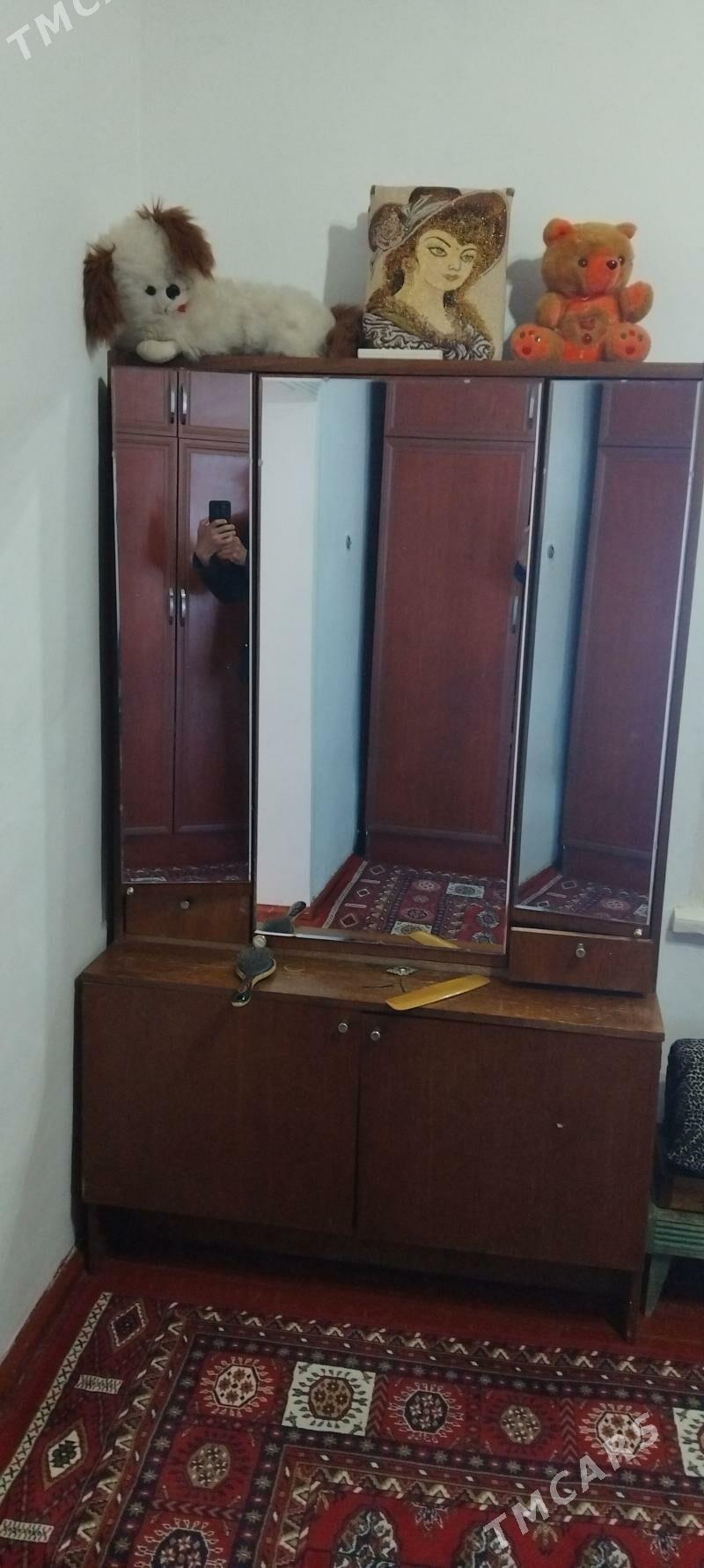 satlyk garnatul Swaner - Махтумкули - img 1