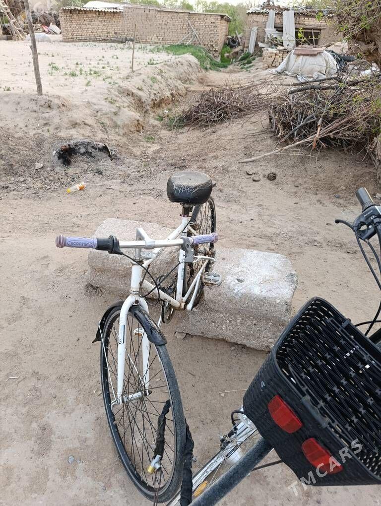 28&6skor - Mary - img 1