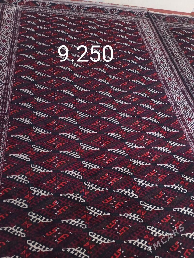 haly - Берекет - img 1