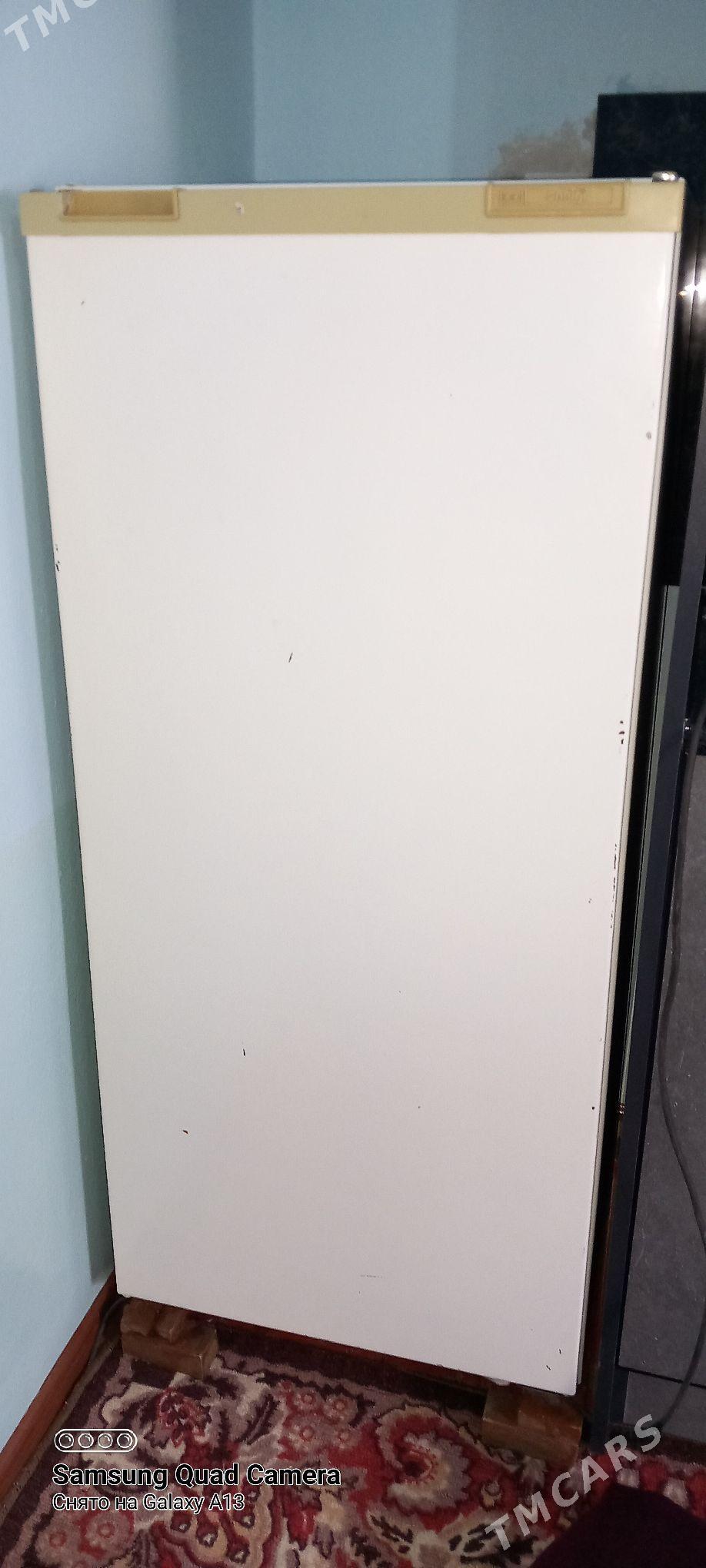 Holodilnik - Tejen - img 1