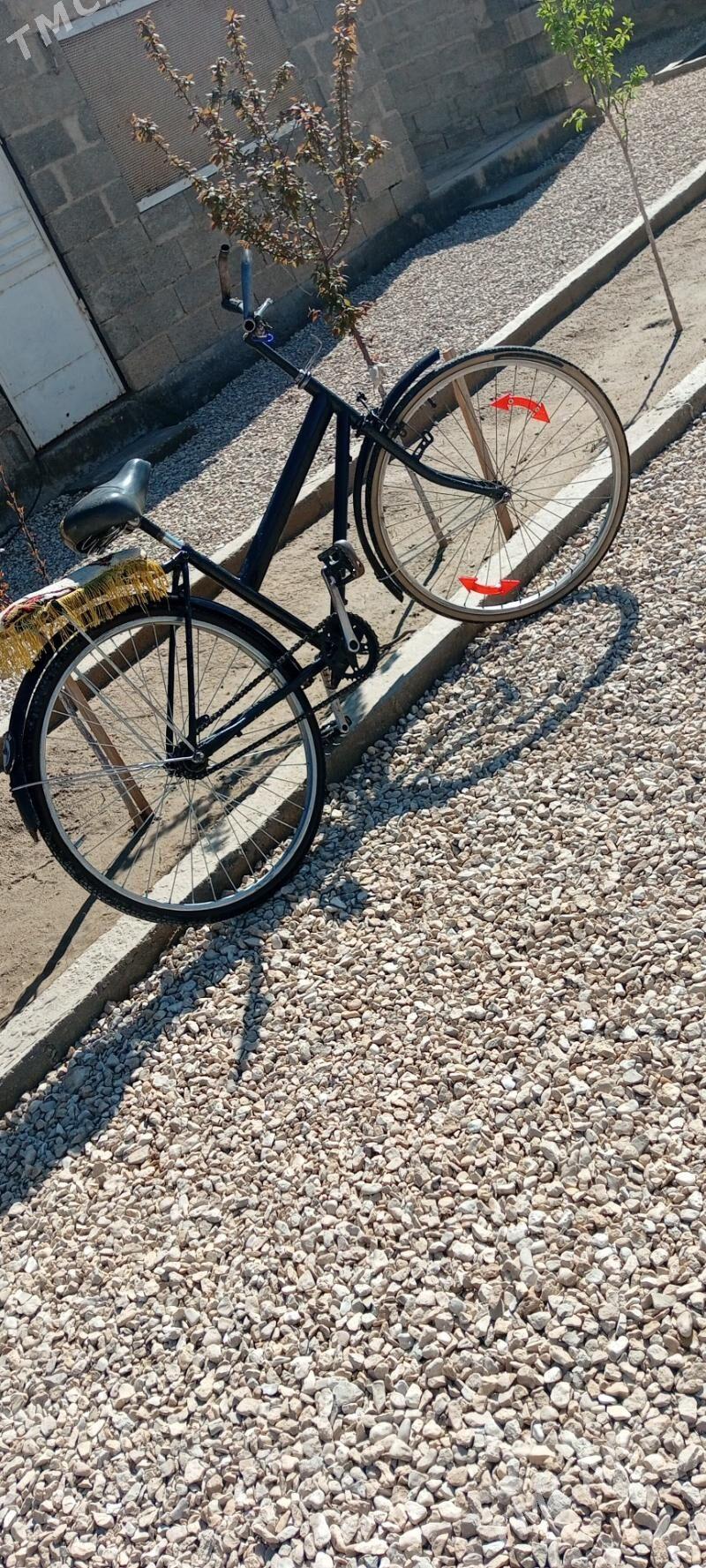 welik - Jebel - img 1