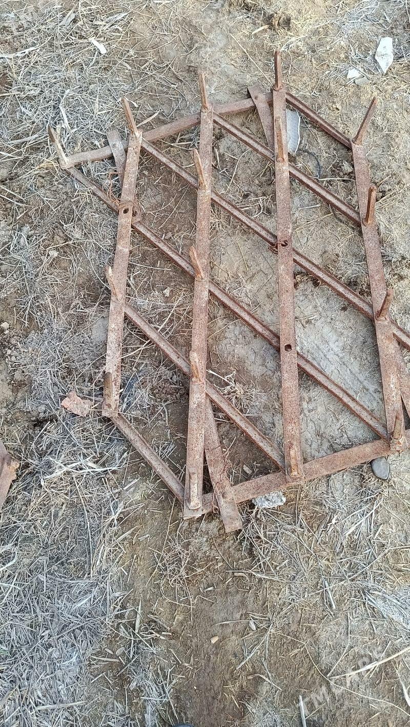 Barana satlyk - Sakarçäge - img 1