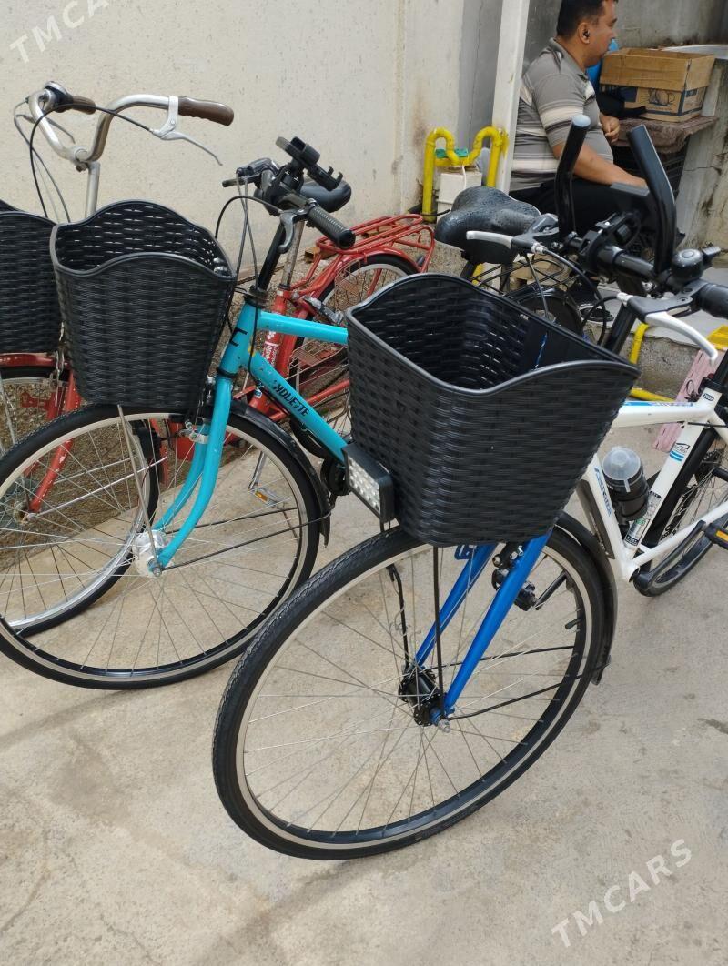 Tigir - Garadamak - img 1