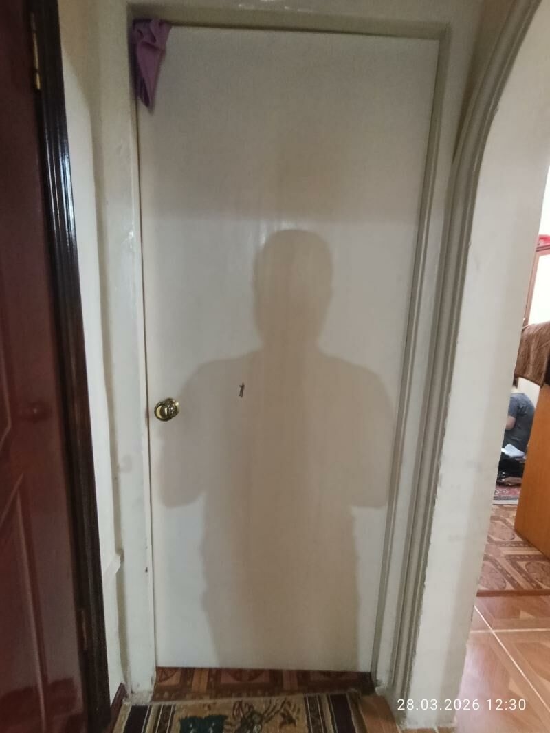 Agac gapy - Türkmenabat - img 1