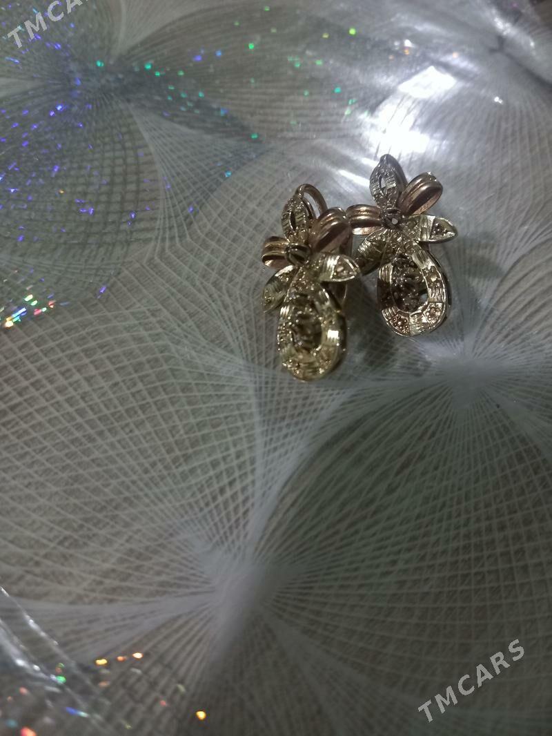 Syrga - Daşoguz - img 1