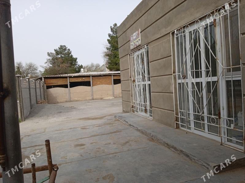 Satlyk Magazyn Mary gresda - Mary - img 1