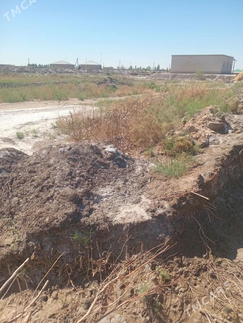 Mellek yer 12 sotux - Görogly (Tagta) - img 1