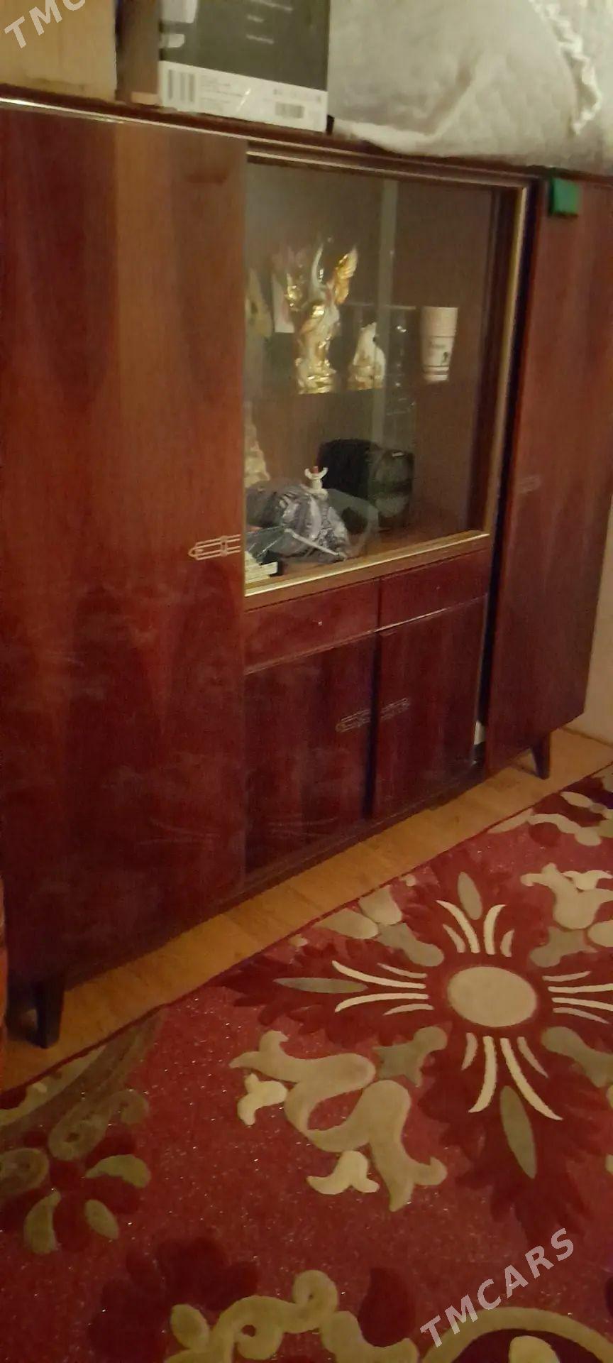 serwant - Daşoguz - img 1