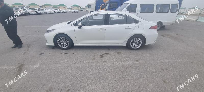 Toyota Corolla 2021 - 250 000 TMT - Büzmeýin - img 1