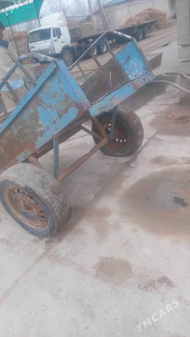 arwa - Шабатский этрап - img 1