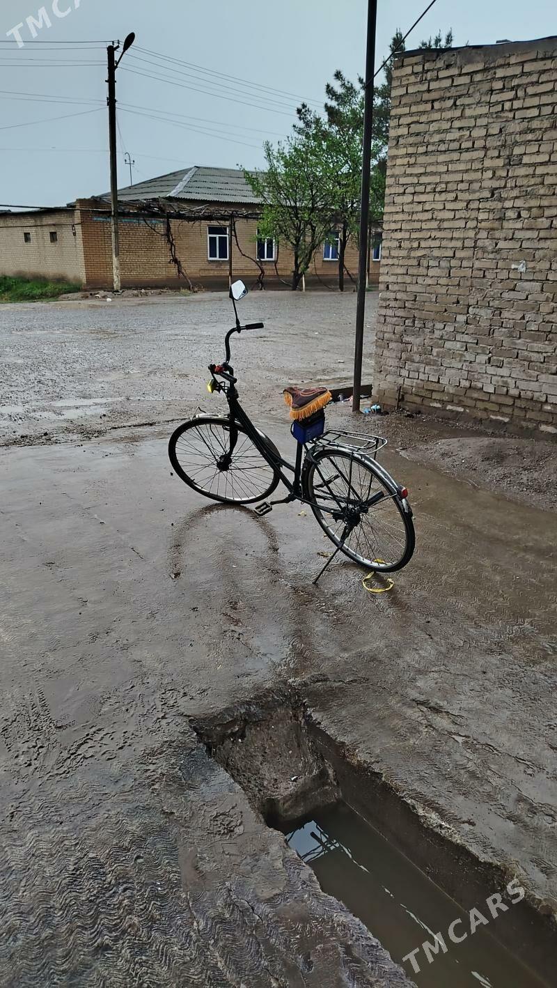 wolwsit - Саят - img 1