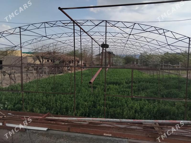 teplisa - Туркменабат - img 1