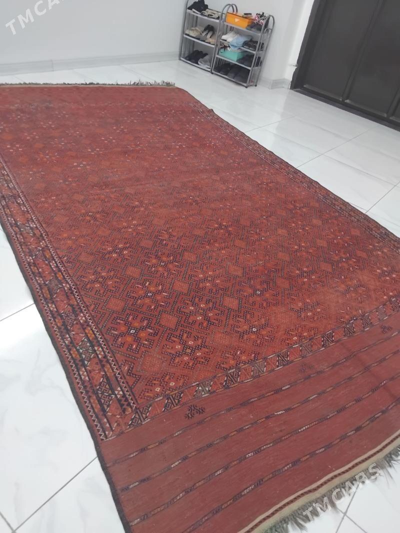 gadym palas - Jebel - img 1