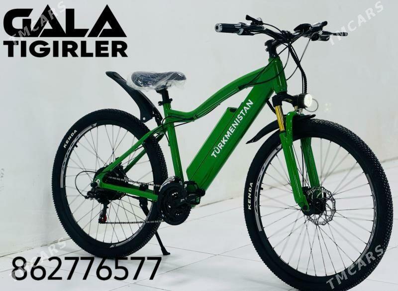 TOKLY TURKMENISTAN TIGIR - Gurtly - img 1