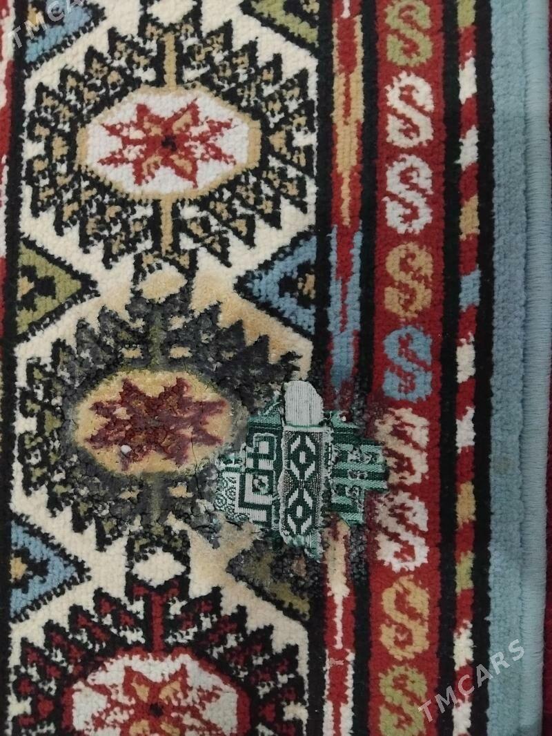 haly - Джебел - img 1