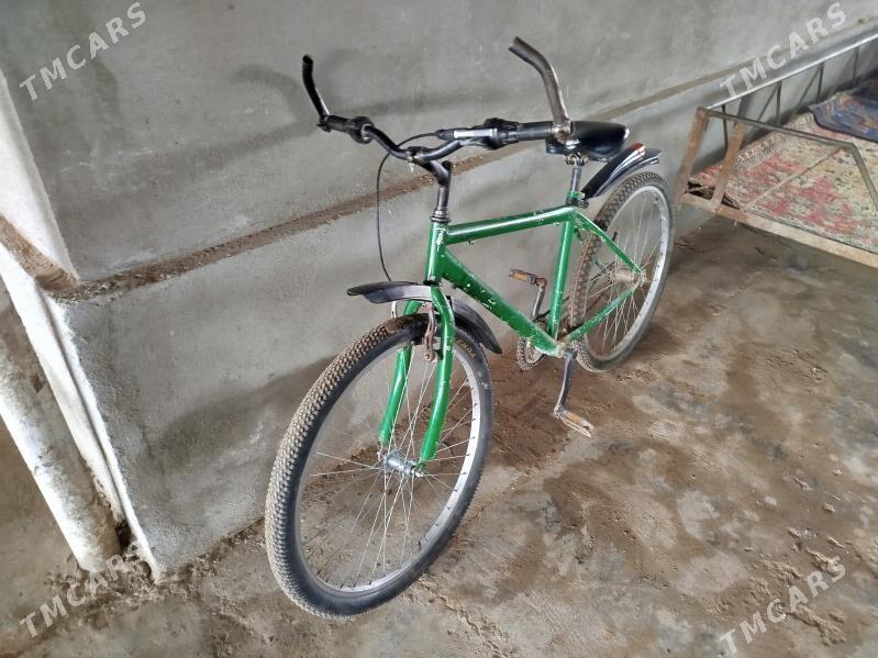 TigirTürkmenistan tigir 24 - Sakarçäge - img 1